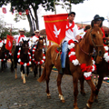 festa-do-divino (19)